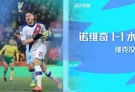 诺里奇客场逆袭，奋勇拼搏争取宝贵胜利